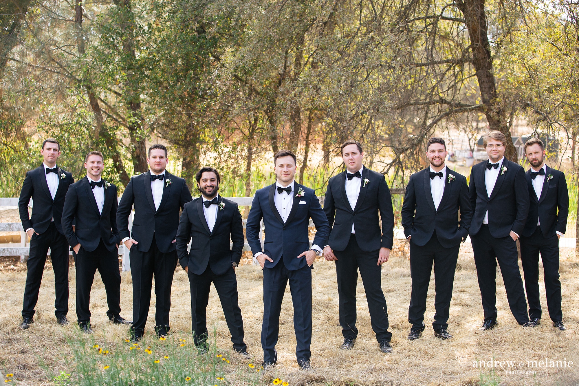 lake tahoe wedding photos