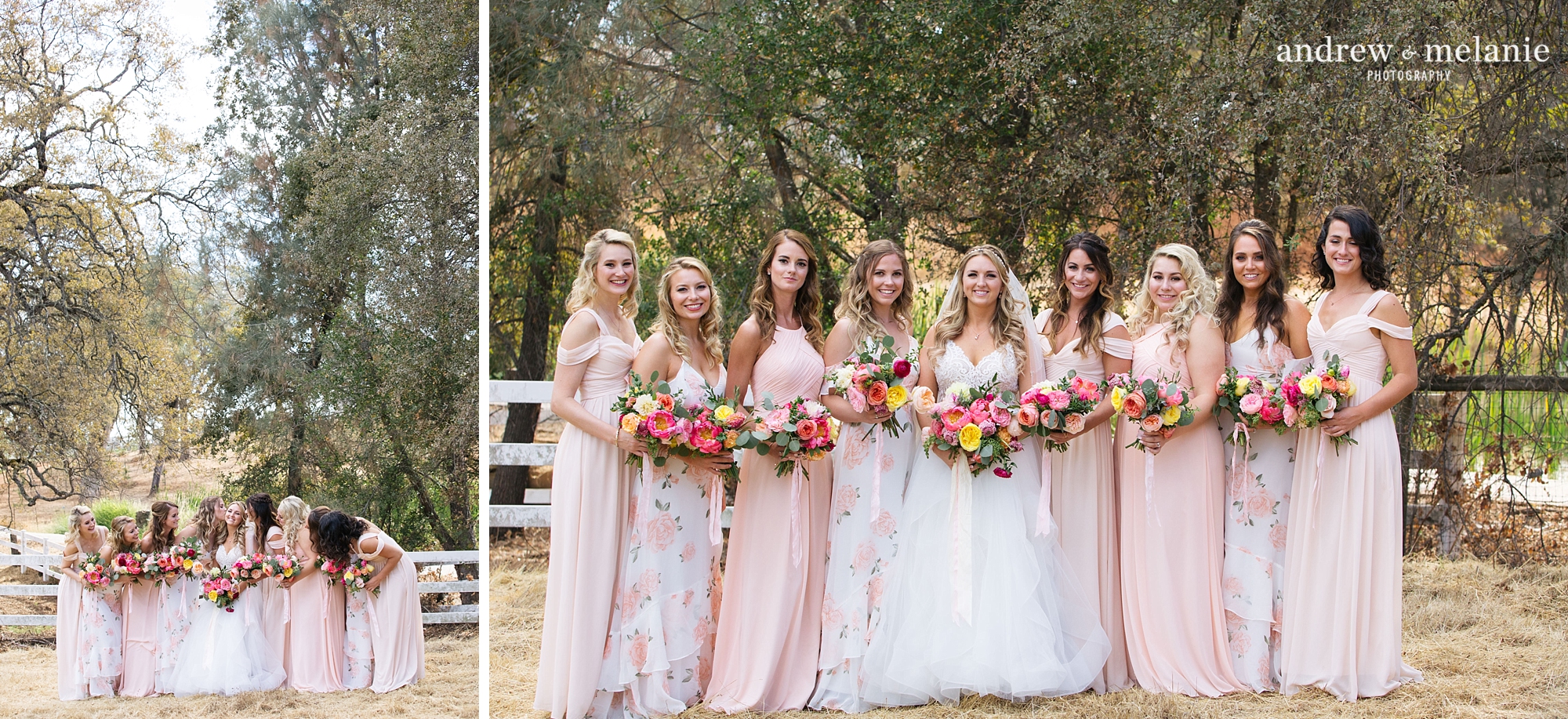 bride with bridesmaids wedding photos