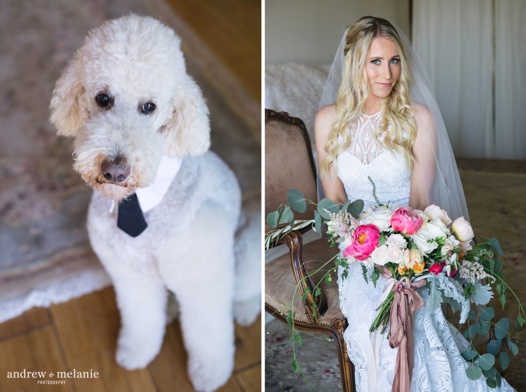 Bride with her puppy