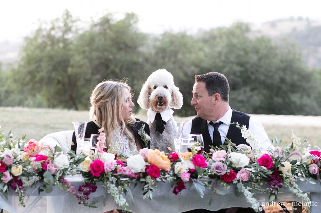 Wedding photos with puppy